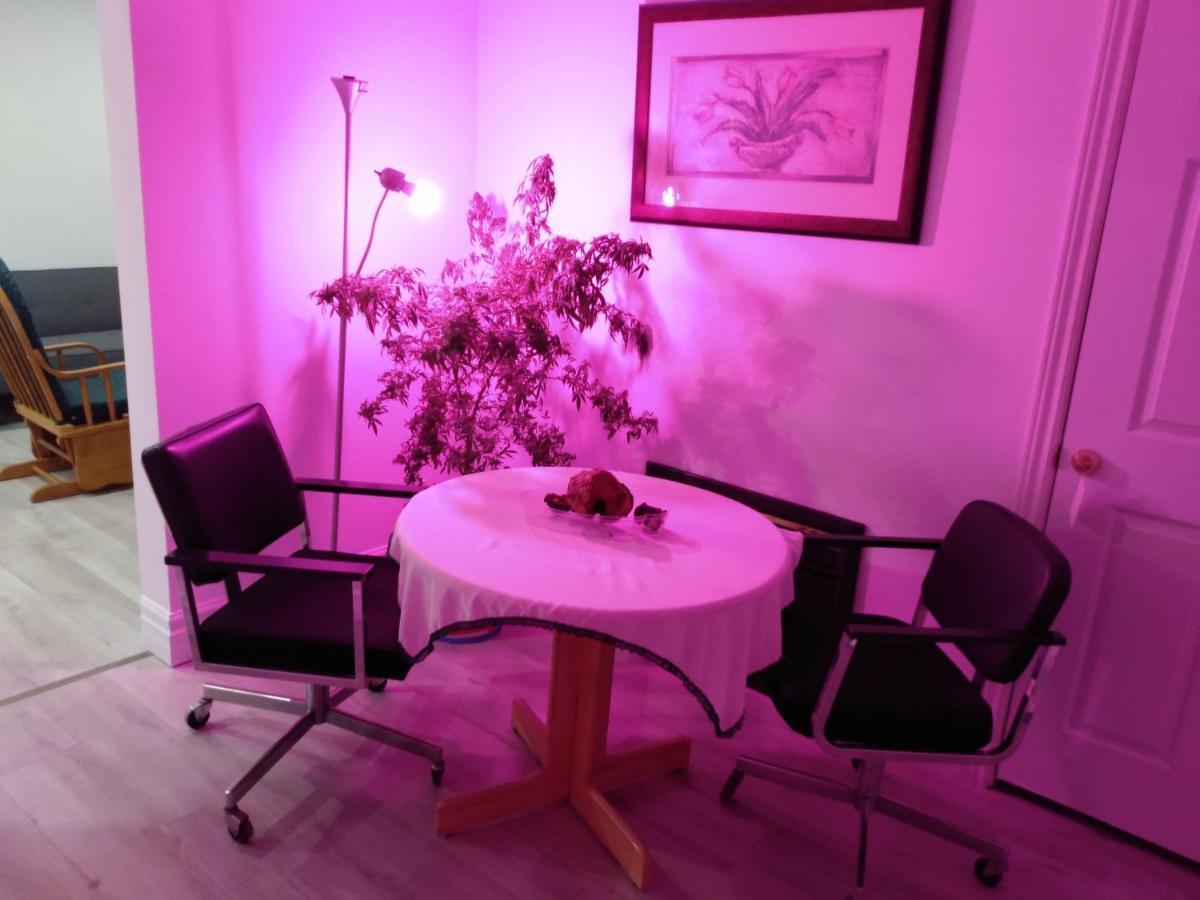 Healing Touch Holistic Living Space 애머스트 외부 사진